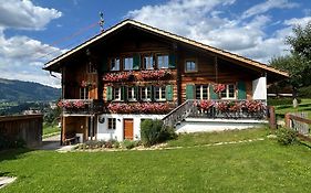 Alpenchalet Haldeli Dachwohnung - Ferienwohnung im ersten Stock